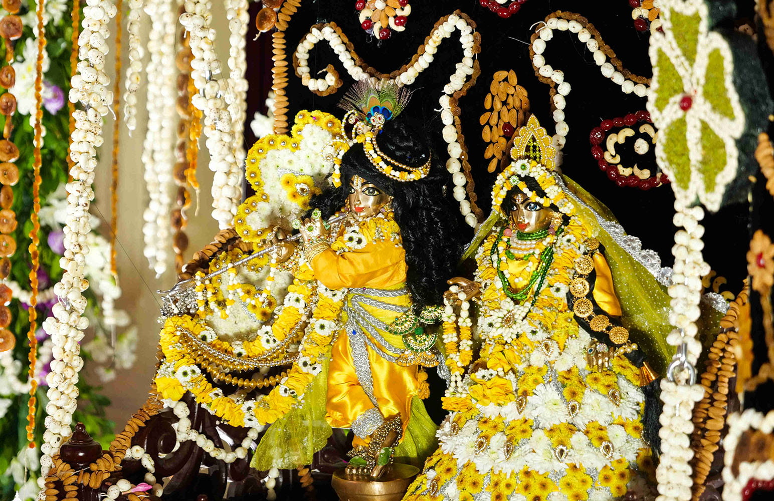 Jhulan Utsav 2026 Day 5